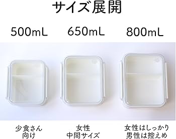 Amazon｜OSK(オーエスケー) まるごと冷凍弁当 仕切り付 ネイビー 500ml